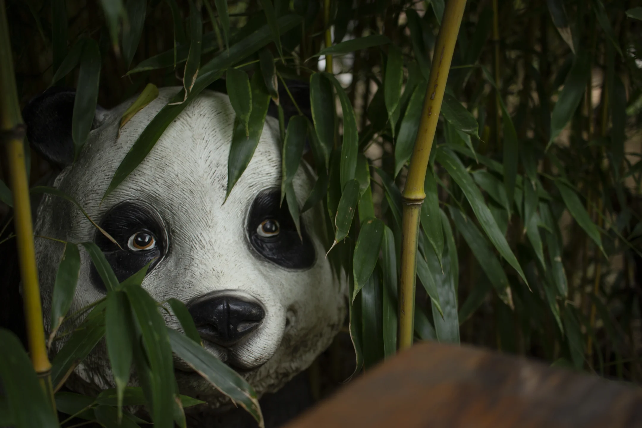 Életképek – Kép